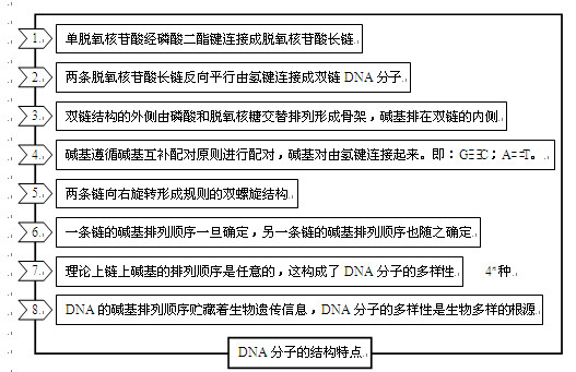 高考生物知识点,2013高考生物,高考生物复习资料, ,高考生物