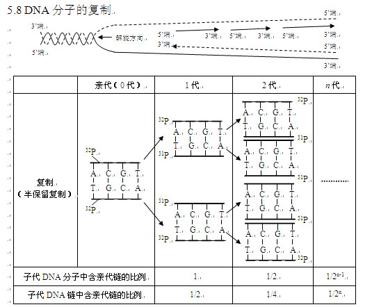 高考生物知识点,2013高考生物,高考生物复习资料, 