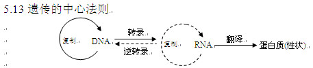 高考生物知识点,2013高考生物,高考生物复习资料, 