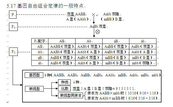 高考生物知识点,2013高考生物,高考生物复习资料, 