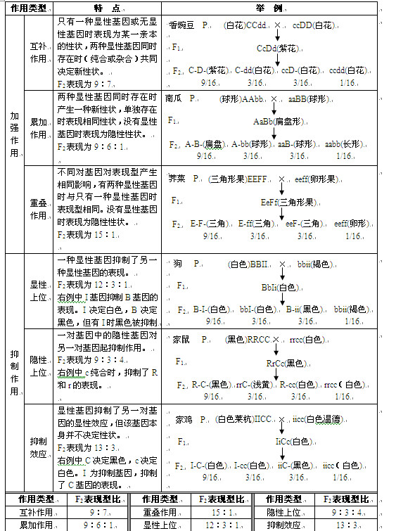 高考生物知识点,2013高考生物,高考生物复习资料, 