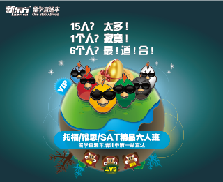 深圳新东方直通车课程