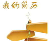 2014小升初简历