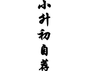 2014小升初简历