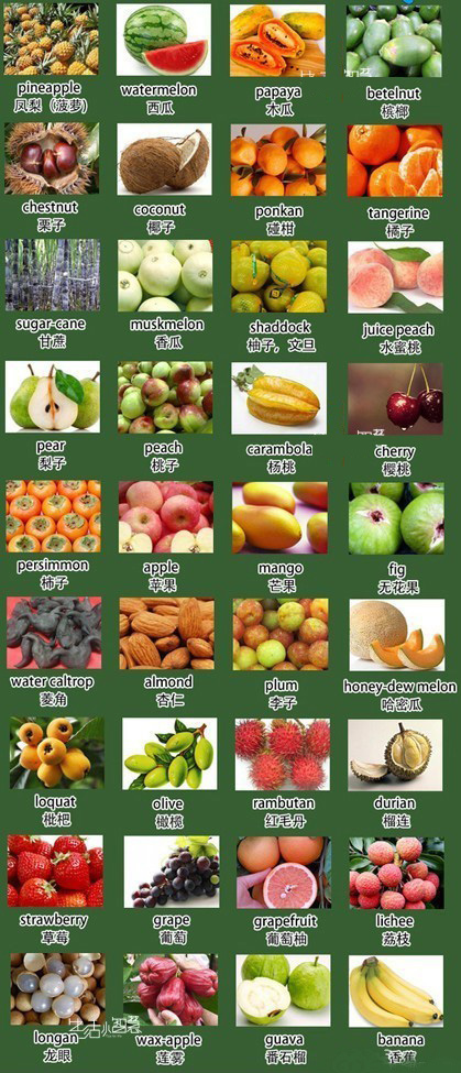 托福词汇:关于水果的英文单词