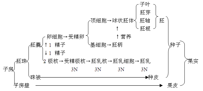 新东方:高考生物考前冲刺阶段复习建议