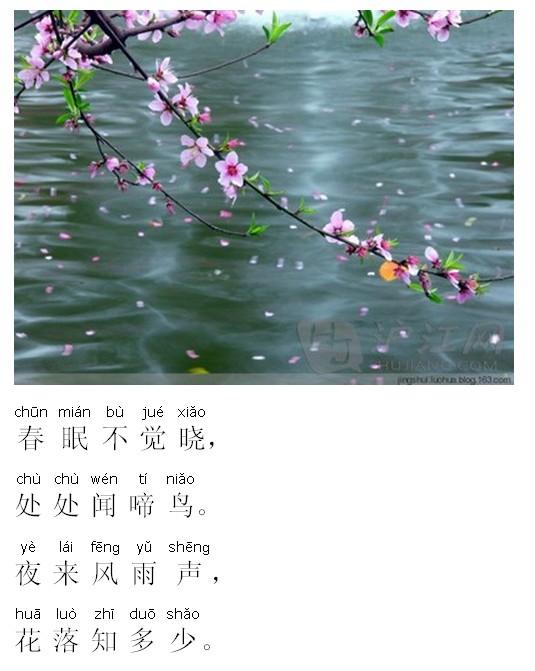 小学唐诗三百首 春晓