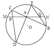 初三数学知识点,初三数学压轴题,每日一题