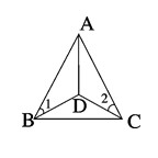 ֪ʶ,ȫ,ѧϰ