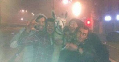 ����5�����������뱻��ܵ���������