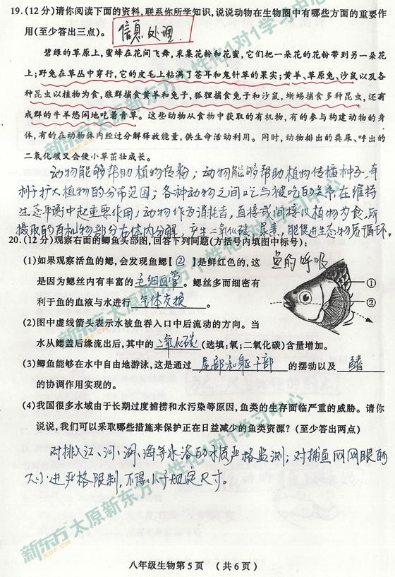 合肥新东方1对1学习中心解析初二初中13-14学生物北城太原几所有 合肥新东方1对1学习中心解析初二初中13-14学生物北城太原几所有