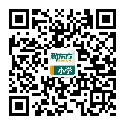 新东方网小学 新东方网小学