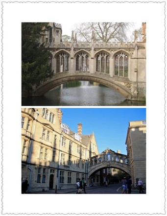 The Oxbridge指的是the Oxford University（牛津大学）和the Cambridge University（剑桥大学）