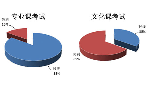 艺术类各专业近五年文化课分析