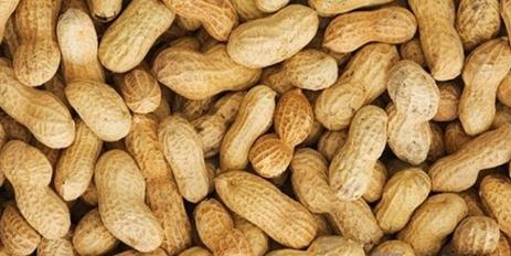 健康食堂：小花生 大作用