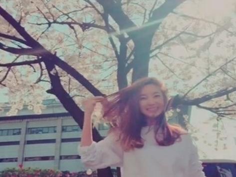 赏樱美照如何拍 韩国明星告诉你     