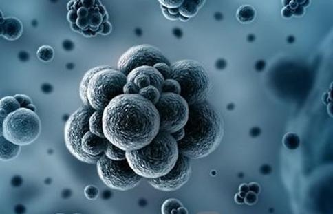 韩国MERS患者两人死亡 感染者增至25人  