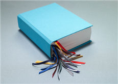 每日雅思词汇：跳水比赛词汇