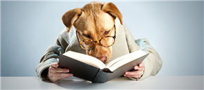 gre词汇,GRE词汇,gre备考,GRE考试,考试技巧