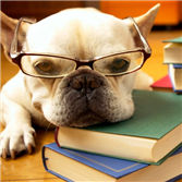 gre词汇,GRE词汇,gre备考,GRE考试,考试技巧