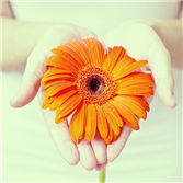 gre词汇,GRE词汇,gre备考,GRE考试,考试技巧