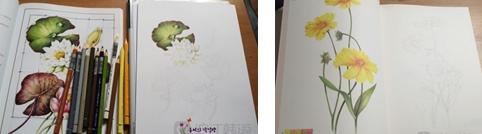 韩国本土涂色书 不只有《秘密花园》哦！  