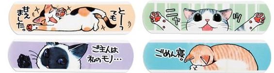 猫咪创可贴第二弹：主人是我的！   