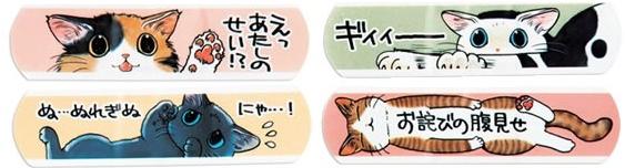 猫咪创可贴第二弹：主人是我的！   