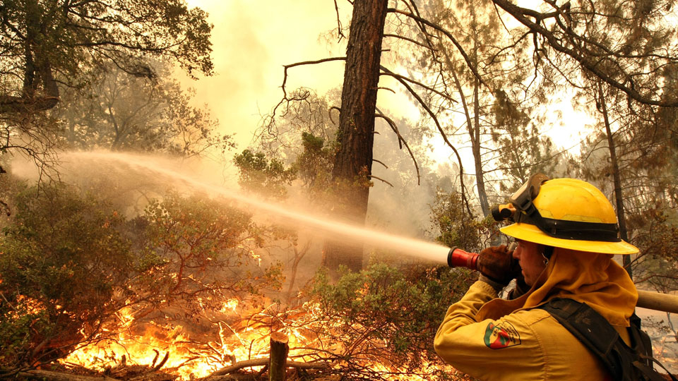 Wildfires in California 美国加利福尼亚洲森林大火