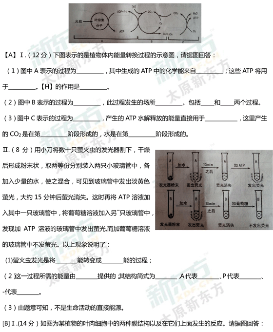 15-16学年第一学期期末考试试卷高一生物试卷答案考点分析