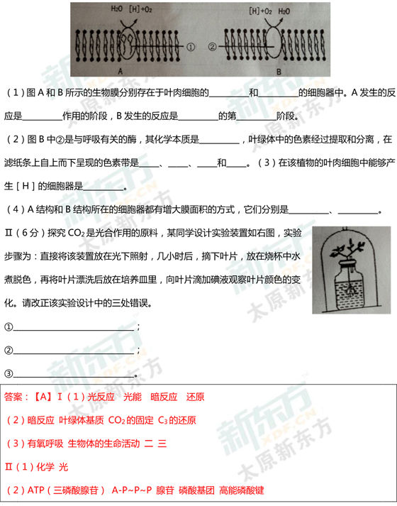 15-16学年第一学期期末考试试卷高一生物试卷答案考点分析