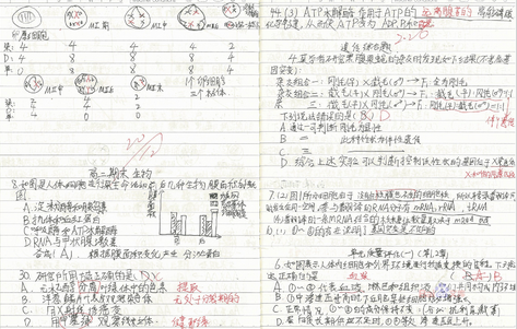 2016宁夏理科状元笔记 高考生物易错题_新东