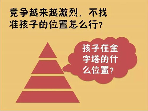 太原市首届小学生综合能力万人测