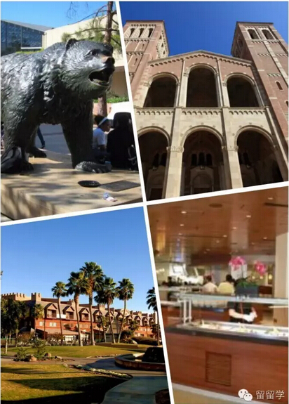 “留美行动派”第二站：UCLA