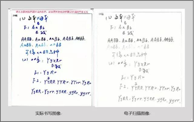 蓝色钢笔书写后扫描图像