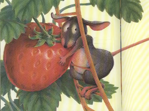 草莓的英语怎么读