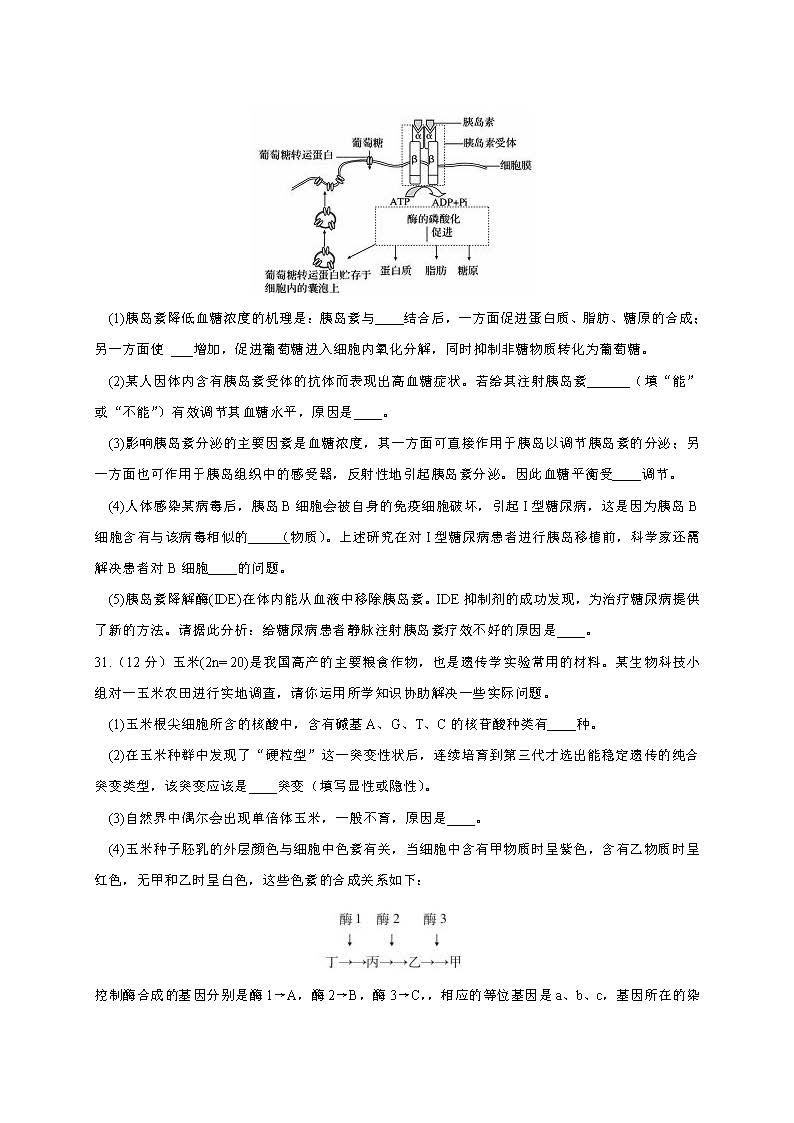 2017陕西省西安市高三一模理综试题及答案-新