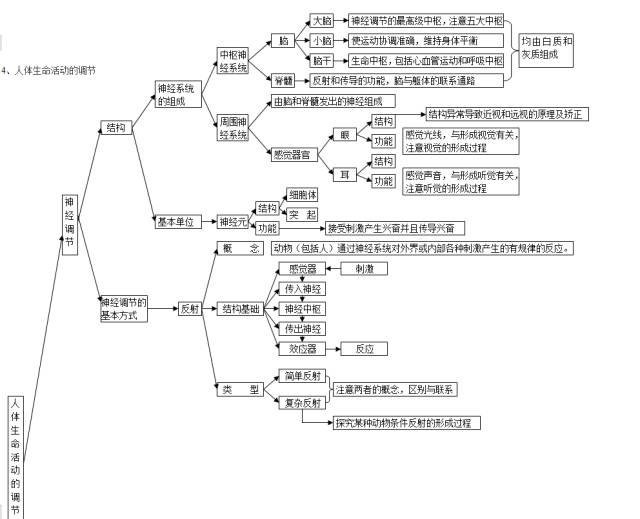 <a href='https://www.wddqw.com/c_103.html' target='_blank'>中考</a>生物知识点结构图分类整理: 生物圈中的人