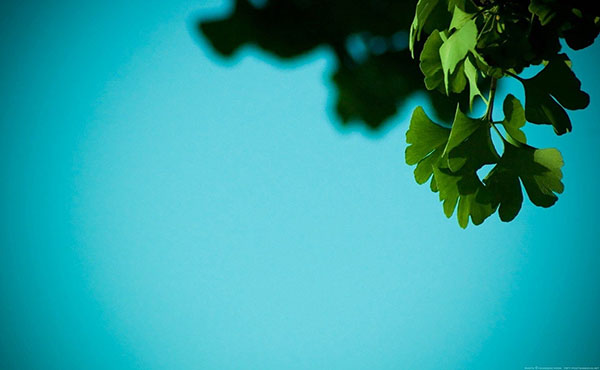 【雅思培训-词汇】词根词缀记忆之R(四)