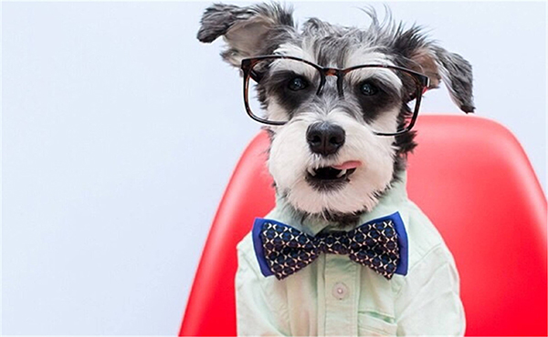 【雅思培训-词汇】词根词缀记忆之S(三)