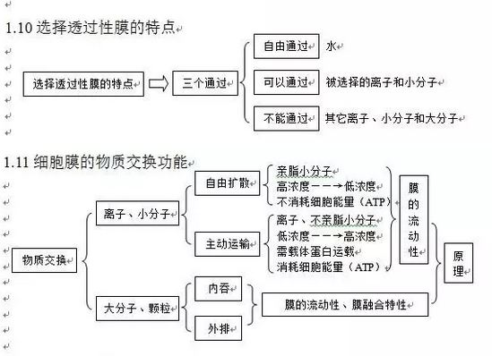 生物最好总结学?知识点到底:一抓高中、二的高中顺序延庆图片