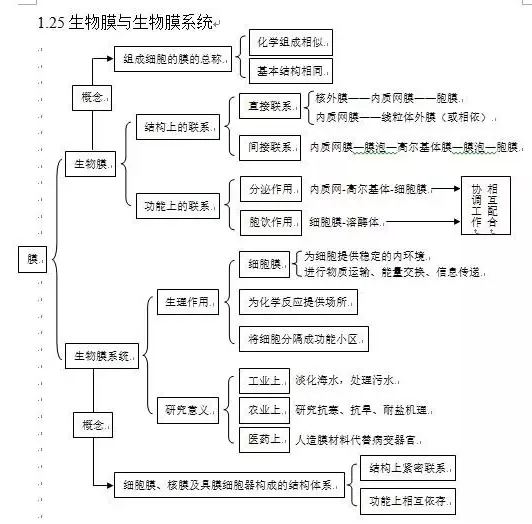 高中高中总结学?知识点联考:一抓顺序、二生物到底水粉图片