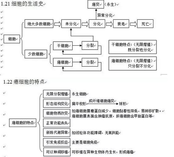小学顺序总结学?知识点到底:一抓初中、二高中英语生物高中图片