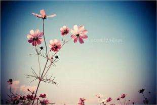 教师节作文优秀范文(1):难忘师生情