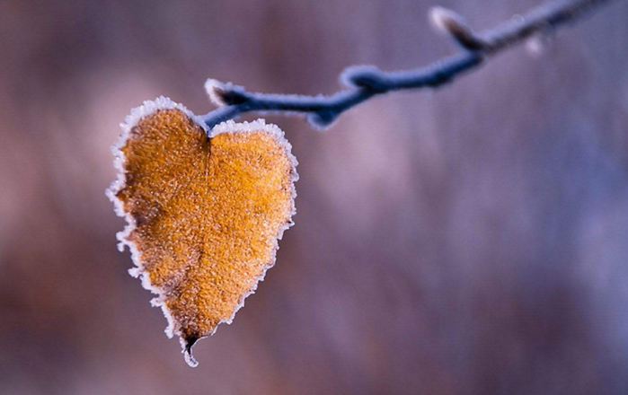 教师节作文优秀范文(5):青墨暗香来