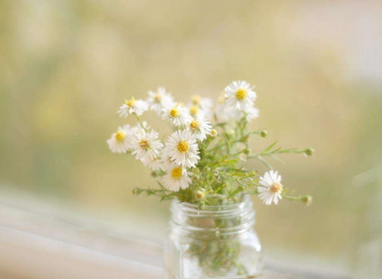 初中热点英语作文--社会经济篇