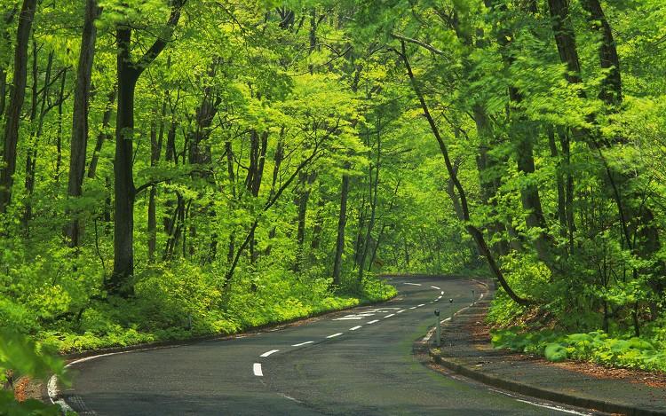 2017雅思阅读多选题必知技巧汇集