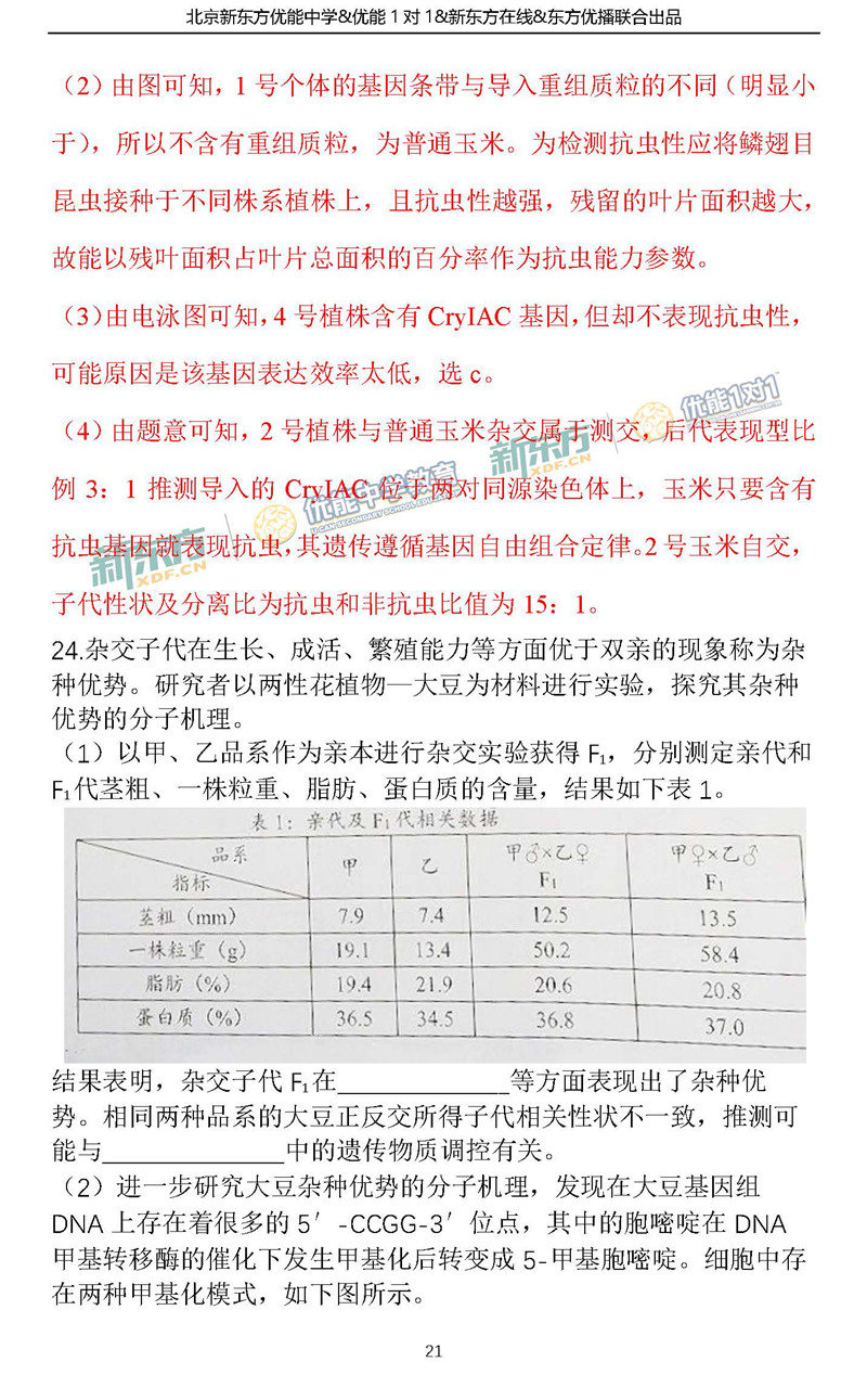 gdp增速_2018年朝阳区gdp(2)