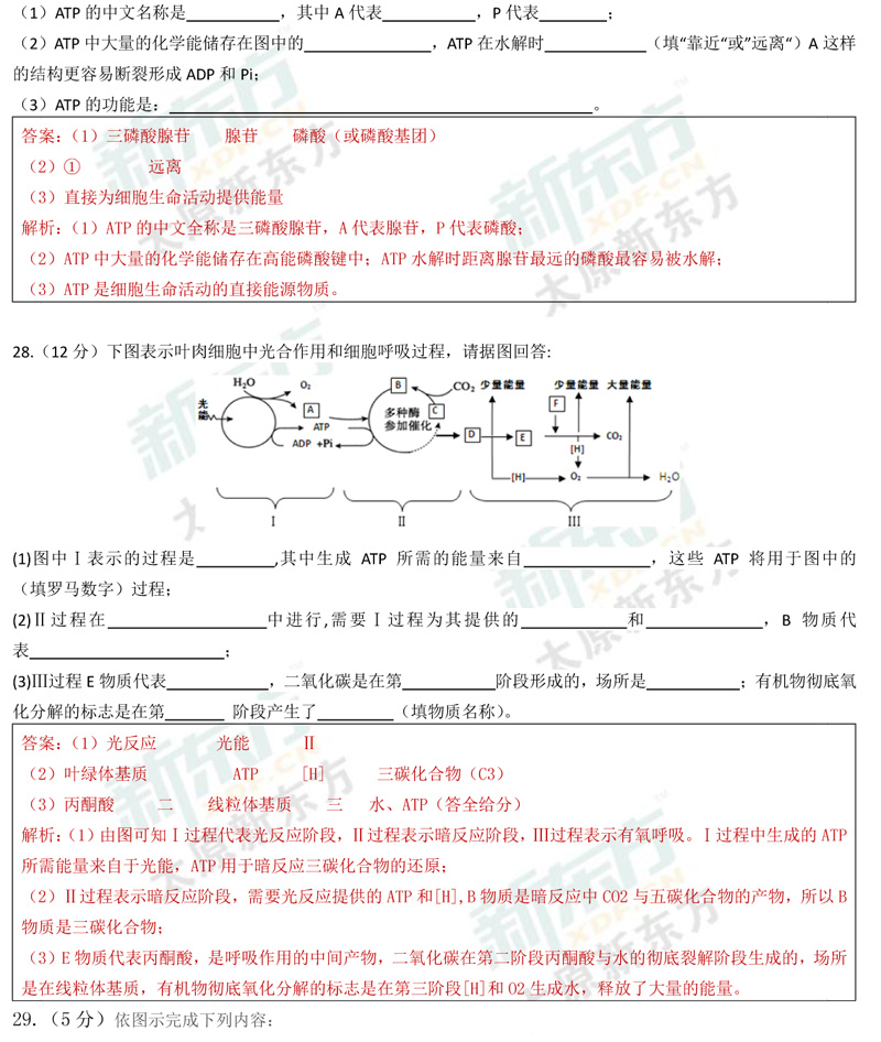 17-18学年第一学期期末考试高一生物试卷答案考点分析