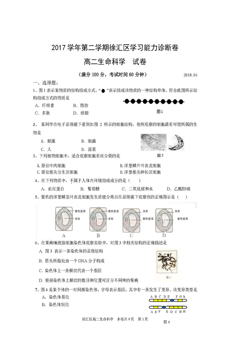 2020徐汇生物二模排名_2020上海徐汇二模高三语文试卷答案解析